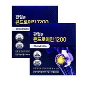 콘드로이친 관절엔 콘드로이친1200, 120정, 1개