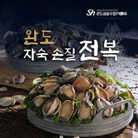 빅사이즈 완도손질전복 3미x6팩 총 18미, 없음, 6개