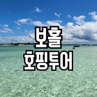 보홀 호핑투어-푼톳 버진아일랜드 투어레코드 전용 호핑투어, 성인