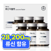 히이즈 류신 타블렛 28200mg 단백질 노인 근육, 60정, 6개