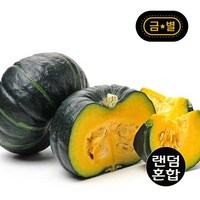 금별 제주 미니 밤단호박 8kg/16-36과/랜덤과, 1개