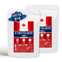 준코 캐나다 저분자 피쉬 콜라겐 펩타이드 분말 [ 300달톤 자연산 100% ], 2개, 150g