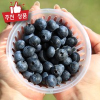 국내산 수입산 블루베리 생과 친환경 생 블루베리, 6개, 100g