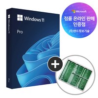 [한국정품인증점] MS 윈도우 11 프로 Windows Pro FPP 영구사용 USB설치 제품키 + 엑셀 단축키 마우스패드, 단품