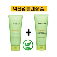 브링그린 사철쑥 약산성 클렌징 폼 250ml, 200ml, 2개