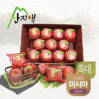 산지애 씻어나온 꿀사과 4kg 1box / 특대과 청송산 미시마 당도선별, 단일속성, 2개