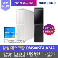 삼성 데스크탑5 DM500SFA-A24A 4GB/SSD128GB/WIN11 - N, NVMe256GB, 8GB, 블랙