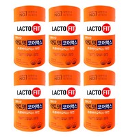 [대용량 벌크구성] 락토핏 코어맥스 LACTOFIT 락토픽 유산균 아연 30억, 2g, 360개