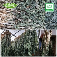 초록한입 유기농 건 시래기500g(자연건조)+사은품, 1봉, 500g