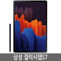 삼성전자 갤럭시 탭S7 11.0 LTE + Wi-Fi 256GB, 실버, 128GB, Wi-Fi+Cellular