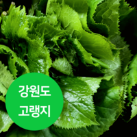 강원도 고랭지 곰취나물 1kg 2kg곤달비 농가직송, 1개