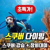 [50%이벤트] PADI 오픈워터 스쿠버다이빙 자격증, 퍼스널트레이닝(이러닝)