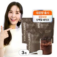 영라뉴 프로틴 핏 쉐이크 대용량 장영란 단백질 코코아 영란뉴, 630g, 3개