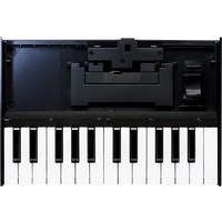 미국출발 Roland K-25M 부티크 모듈 독 USB MIDI 키보드 12인치