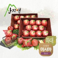 산지애 사과 특대과 4kg+4kg(22-24과), 2개