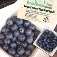 2024년 국산 블루베리 무농약 영동 생블루베리 생과 특대(16-18mm)1KG, 특대, 1kg(250g4팩), 1개