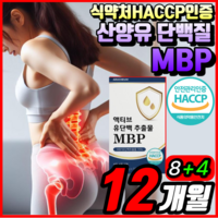 뼈엔 엠비피 MBP 비엔피 / MBP 엠비피 유단백추출물 식약처 HACCP 인증 네덜란드 산양유 초유 단백질 분말 식약청 해썹 인정 100% 정품 [옵션확인] 알 약 케이스증정, 12개, 60정