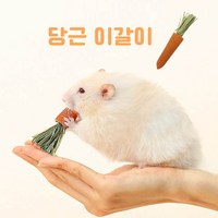 햄스터 당근이갈이, 9개