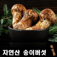 진심좋은 2024년 자연산 송이 버섯 자연 송이버섯, 1box, 특등급 9cm이상 1kg