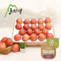 산지애 산지애 알뜰 못난이사과(중과) 4.5kg 1box / 당도선별 청송산 미시마, 단일옵션