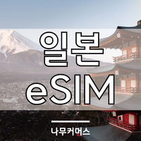 일본이심 eSIM 5G 소프트뱅크 로컬망 오사카 후쿠오카 도쿄 삿포로 오키나와 일본전지역 데이터무제한, 4일, 소프트뱅크 매일2GB, 4일, 소프트뱅크 매일2GB