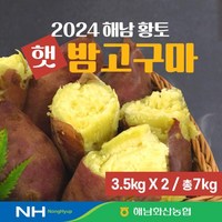 농협 화산농협 해남 황토 밤고구마 7kg (3.5kg*2박스) _특등급, 1