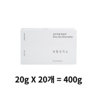 생활공작소 실리카겔 제습제 본품, 400g, 2개