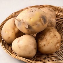 국내산 햇 감자, 500g, 1개 솔직 후기 및 장단점 분석 - 구매 가이드