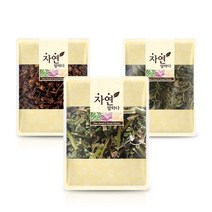 그린약초 곽향 정향 녹차 청옥향차SET 800g, 1개