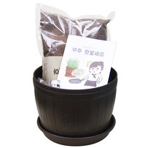 베란다 레시피 쉐프의 키친가든세트(부추)