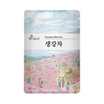 아름드레 삼각티백 생강차, 1.3g, 25개입, 1개