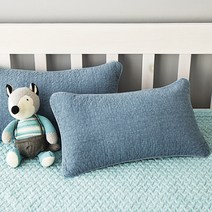 쉬즈홈 힐링 피그먼트 베개커버 2p