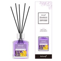 바이향 리프레싱 홈닥터 디퓨져 100ml, 라벤더 일랑일랑, 1개
