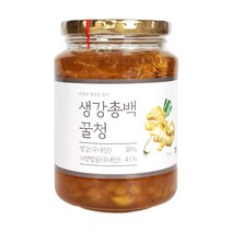 이고장식품 생강총백 꿀청, 500g, 1개