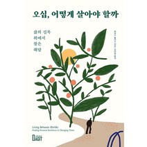 오십 어떻게 살아야 할까:삶의 길목 위에서 찾은 해답, 제임스 홀리스, 북아지트