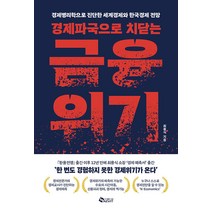 [새빛]경제파국으로 치닫는 금융위기 : 경제병리학으로 진단한 세계경제와 한국경제 전망, 새빛, 최용식