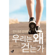 [흔들의자]우리는 왜 걷는가 : 걷자생존 걷자행복, 흔들의자, 김재은