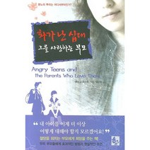 화가 난 십대 그를 사랑하는 부모, 하늘기획