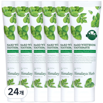 부케가르니 나드 미백 치약, 100g, 24개