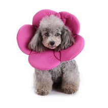 까꿍펫 반려동물 플라워 목보호대 L 핑크, 1개