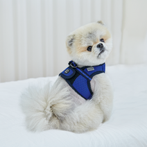 RealPet 프리세이프 강아지 조끼 하네스, 로얄블루