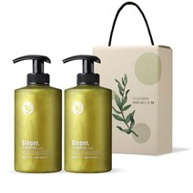 TS 진저 탈모샴푸 500g x 2p 선물세트, 1세트