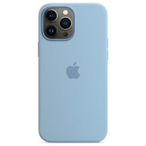 Apple 정품 아이폰 맥세이프 실리콘 케이스
