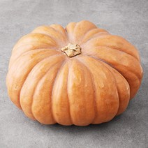 국내산 늙은 호박, 3kg, 1통