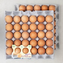 샛별뜨락 무항생제 특란, 3600g, 1개