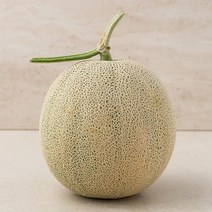 곰곰 머스크 멜론, 1.8kg, 1개