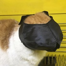 알럽펫 고양이 미용 마스크 S, 블랙, 1개