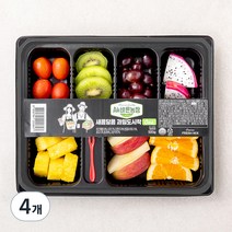 All바른농장 새콤달콤 과일도시락 One, 4개, 500g