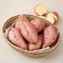 국내산 호박고구마(중), 1kg (개당 80~150g), 1개