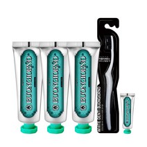 덴티본조르노 구취케어 치약 100g x 3p + 미세모 칫솔 + 여행용 미니 치약 랜덤발송 세트, 1세트